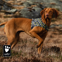 Hurtta Teddy probe Go chest strap Teddy medium-sized large dog dog pet out vest vest style strap