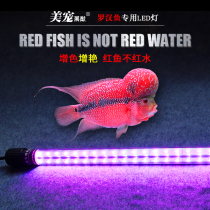 Fish tank Aquarium special lighting Waterproof red Arhat Arowana parrot red special fish light lure color bright led