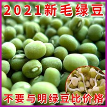 2021 new hair mung beans 5kg Shandong coarse grain edible dumb mung bean mung bean soup can germinate farmers grow mung bean seeds