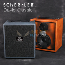 Flying Schuttler Schertler David Classic 100 Watt Acoustic Guitar Speakers
