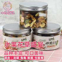 Selection of fruit flowers and grass dried feast strawberry apple coconut ChinChin Rabbit Rabbit guinea pig hamster 55g