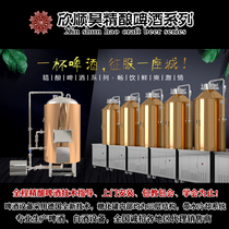 Xinshun Hao fresh beer fermentation tank self-brewed fresh beer black beer equipment commercial sugar tank factory direct sales