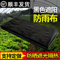  Sunshade cloth sun protection and heat insulation outdoor rainproof cloth waterproof cloth thickened tarpaulin lightweight rainproof and rainproof plastic color strip cloth