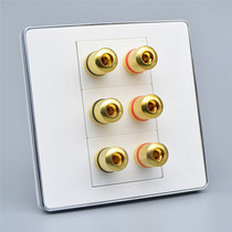 Silver side 86 type weak current wall switch socket six-head audio speaker 5 1 surround speaker combination socket panel