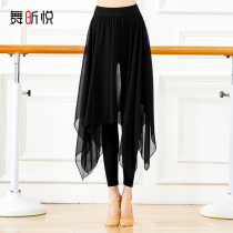 Latin dance pants skirt modern dance pants chiffon training clothes adult women's skirt classical large skirt body rhyme clothing