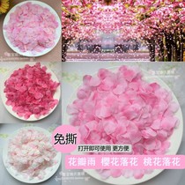 Tear-free silk cloth petals fake petals hand-thrown flower photography decoration stage flower peach flower petals cherry blossom flower petals rain