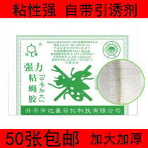 Fly paper Dachao medium enlarged strong sticky fly glue catching fly board anti-mosquito fly artifact fly patch