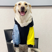 Pet Tide brand large dog clothes autumn and winter two-color flat sleeve anti-hair hair personalized clothes golden hair Satsuma Labrador