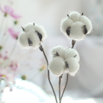 Natural cotton bouquet Nordic Net red art real flower wedding decoration handmade wreath flower ins literary dry flower