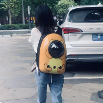 Cat Bag Out Portable Cat Backpack Summer Transparent Pet Out Bag Large Capacity Double Shoulder Space Cabin Kitty Supplies