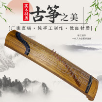 Beginner performer home paulownia digging Zheng adult children professional guzheng