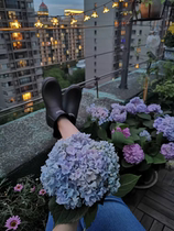 Micro-flaw Japanese fashion rubber shoes foreign trade tail single short tube fashion rain boots water boots