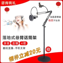 Professional recording studio floor-standing cantilever bracket All-in-one mobile phone straight line condenser microphone Microphone vertical shelf