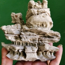 The live link private shot is invalid