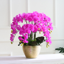 Golden Wire Drawing Basin Large Basin Butterfly Lan Emulation Flower Living Room Shop Furnishing Oversized Orchid Fake Flower Pendulum to decorate flowers