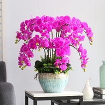Large pot pu Phalaenopsis simulation flower ornaments Living room decoration high-end hotel front desk fake flowers Large floral art