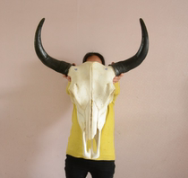 Cattle Skull Crafts Yak Skull Ornaments Real Cow Sheep Skull Specimen 55cm Featured Handmade Props