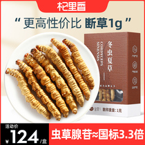 Cordyceps sinensis Broken grass 1g4 root g Qinghai East Cordyceps tea dry goods without gift box wine