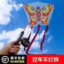 2021 new fishing rod kite children breeze easy to fly micro wind competition outdoor sports toys holding small kite