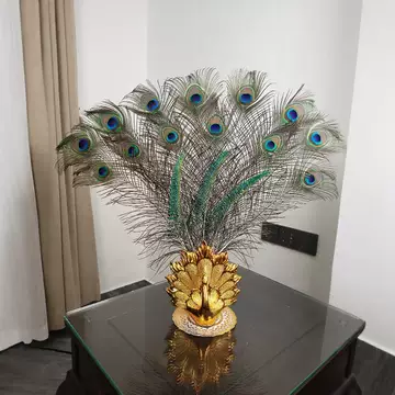 孔雀毛花瓶-孔雀毛花瓶促销价格、孔雀毛花瓶品牌- 淘宝