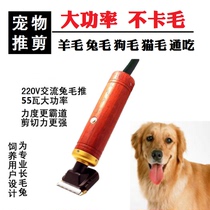 Dog Pushers Pet Electric Pushy Cut Teddy Bou Beauty Big Dog Rabbit Hairdresser Professional High Power Plug-in Electric Shave