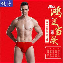 Jian to marry pure cotton triangular underwear All cotton big red underpants Niu year Ben life gift boxed gift shorts Hon.