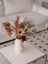 POMELO Original Dried Flower Ornament Korean TV Wall Decoration Immortal Flower Dried Flower Set New Product Launch