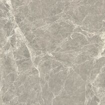 Smick tile vitrified marble Florence Ash