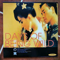 Afei is the biography of Andy Lau Leslie Cheung Carina Lau Maggie Cheung Tony Leung Chiu-wai LD disc disc 9 layers new and above