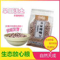 Xinjiang Tianshan dry Field Farm chickpeas 1 6kg raw beans