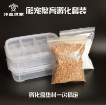 Climbing pet incubator box turtle guard Palace chameleon Mane corn egg with egg position vermiculite perlite perlite incubator