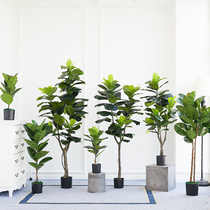 Qin Yefong Simulation Indoor Office Floor Green Plant Picking Nordic Tropical Simulation Plant Qin Leaf Ficus False Pot