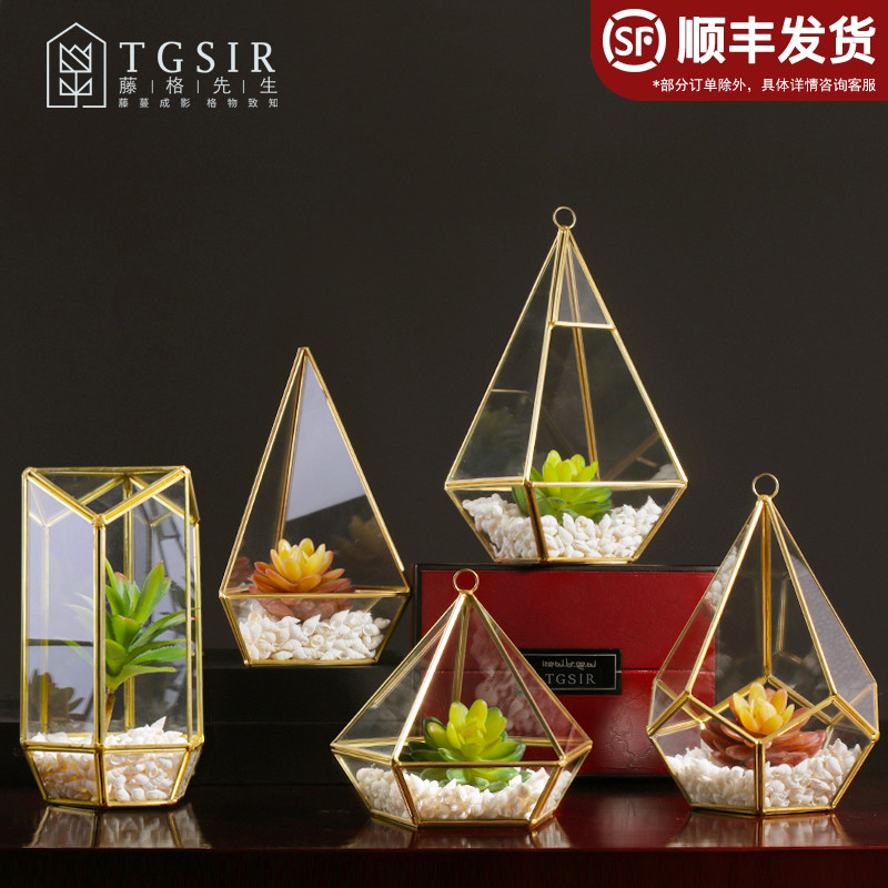 Nordic minimalist living room multi-meat plant glass cover ornament creative personality home Xuanguan model room decoration