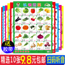 Baby early education learning silent wall chart baby child literacy card pinyin wall sticker cognitive Enlightenment toy