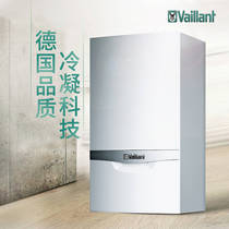 Actually Home Changzhi Shop Germany Weican 20KW Import (Dual-Use Condensation) Furnace