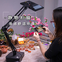 Camera adjustment Jewelry live fill light Special desktop light Text play food photography light Video shooting equipment constant light