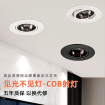 Anti-glare COB spotlight LED ceiling lamp recessed home living room aisle porch commercial clothing store hole lamp