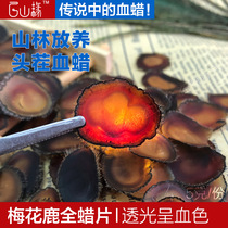 hundred mountain edge tou cha backyard plum lu rong pian-wax-containing blood full la pian non-exclusive blood blood wax