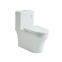 Huida Bathroom Conjoined Toilet HDC6212 Self-Cleaning Glaze