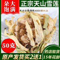Buy 2 get 1 Xinjiang Tianshan snow lotus flower 4500 meters Snow Lotus dried flower Chinese herbal medicine male nourishing health brewing wine tea material