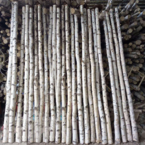 Natural birch trunk decoration log birch dead tree fork dry branch branch branch wedding arch window partition