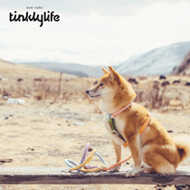 Dharma Department Store USA Tinklylife New York Design Rainbow Dog Chest Back Traction Rope Artificial Chest Braces