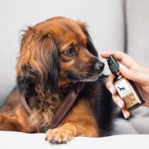 Dharma Department Store Germany imports Lila Loves It pets in addition to flea ticks Tick Mosquito Insect Repellent Spray