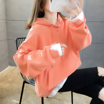 Foreign Air Pregnancy Woman Dress Long Sleeve Sweatshirt Spring Autumn Season Embroidery Flower Loose With Cap Big Code Small Sub Pregnant Woman Blouses Female Tide