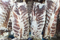 10 pounds of Yunnan Lijiang specialty pork ribs hot pot soft bacon vacuum ribs restaurant special shot