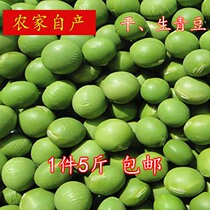 Rural self-produced new raw green beans five 5 pounds Valley grains shoshe dou mo dou jiang dry beans according to Reuters dry edamame