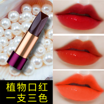 A three-color lipstick does not fade does not stick to the cup black rose black diamond volumizing niche lipstick affordable student girl
