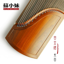 Su Xiaomei Dalu Golden Tan Guzheng Solid Wood Beginners Learning Grade Adult Children Professional Performance Guzheng