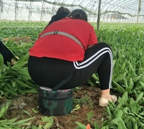 Farm work foam stool Plastic pier Carry-on mobile small bench to pick tea out garlic stool Garlic pier artifact Lazy man stool pad