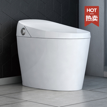 Integrated instant hot smart toilet